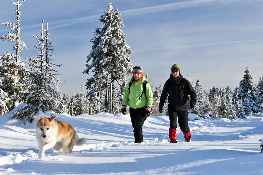 Spaziergänger mit Hund und Gamaschen